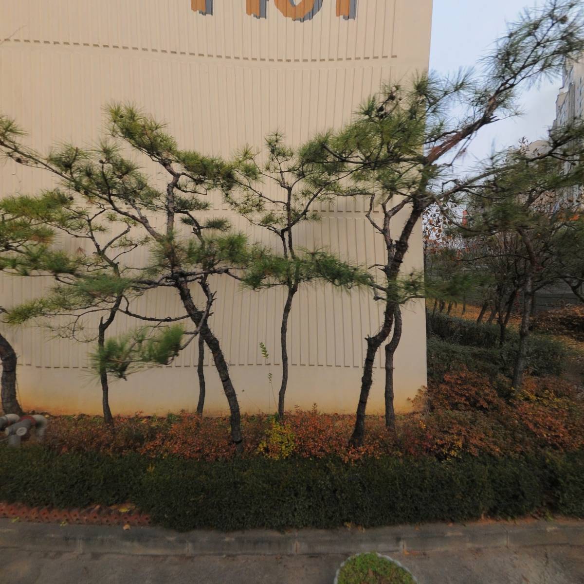 주은장로교회