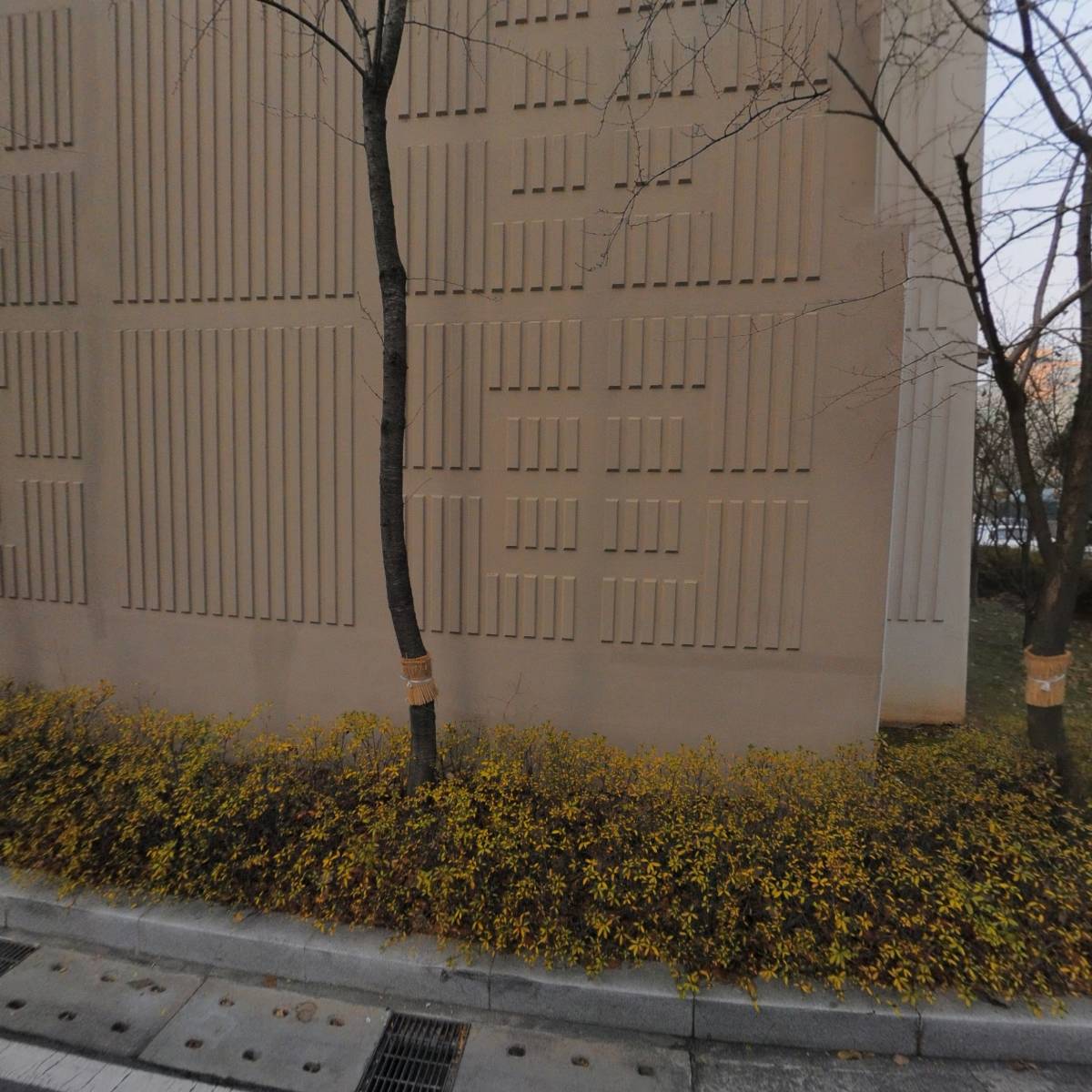 폭스림_3