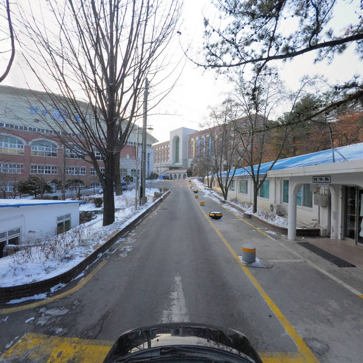 더치스_4