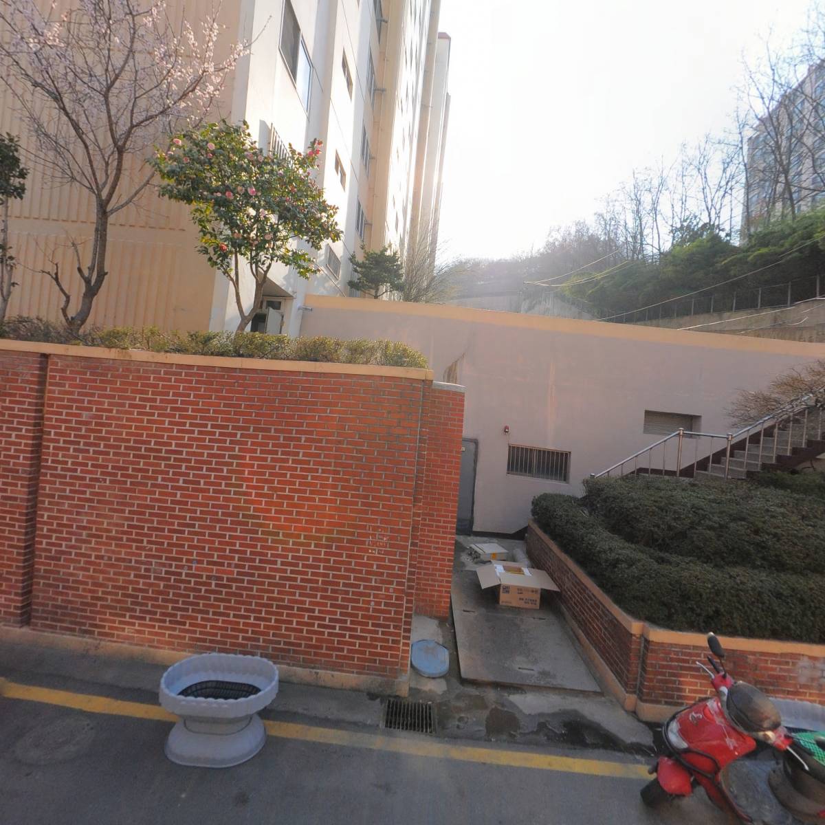 세레나의상실