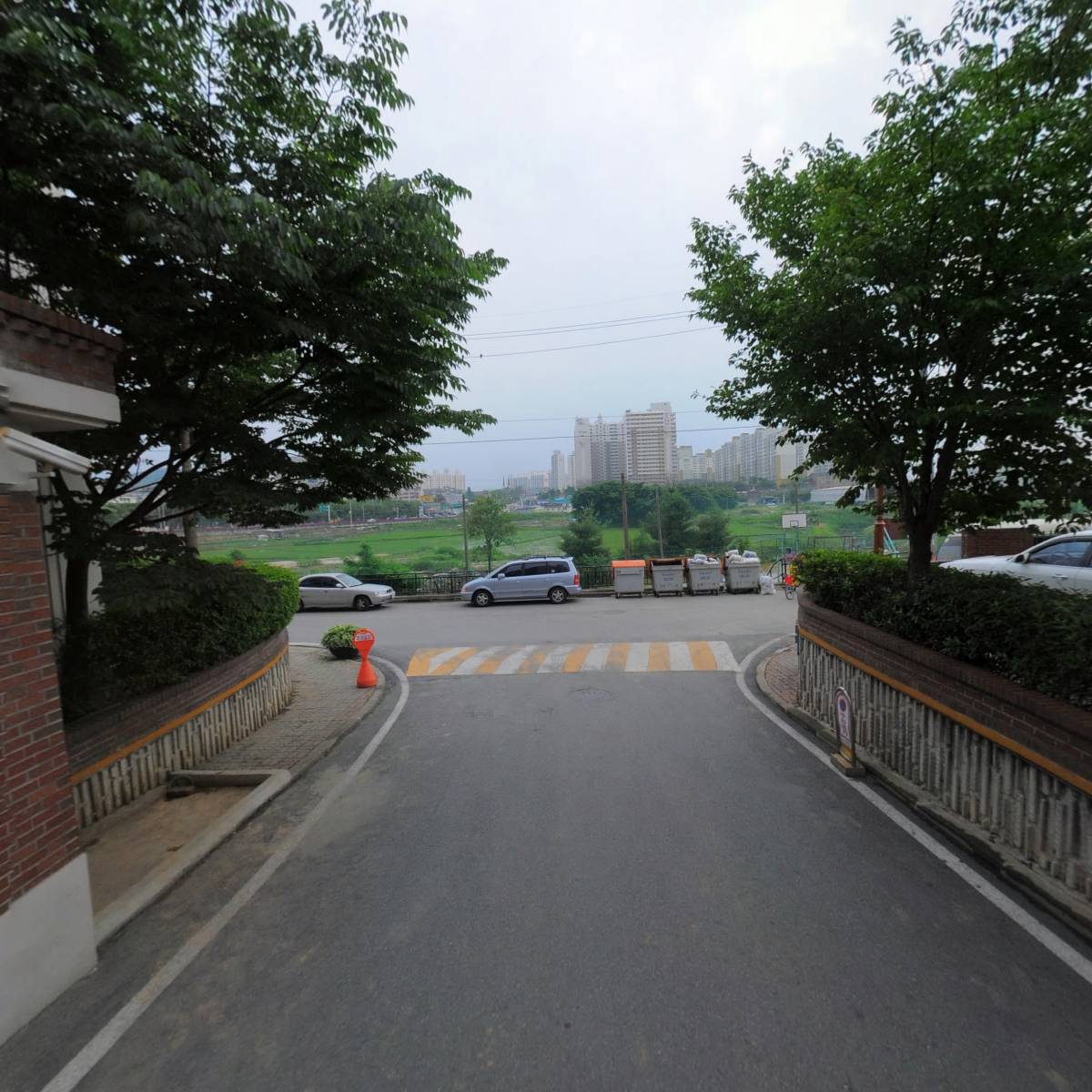 로지피아_2
