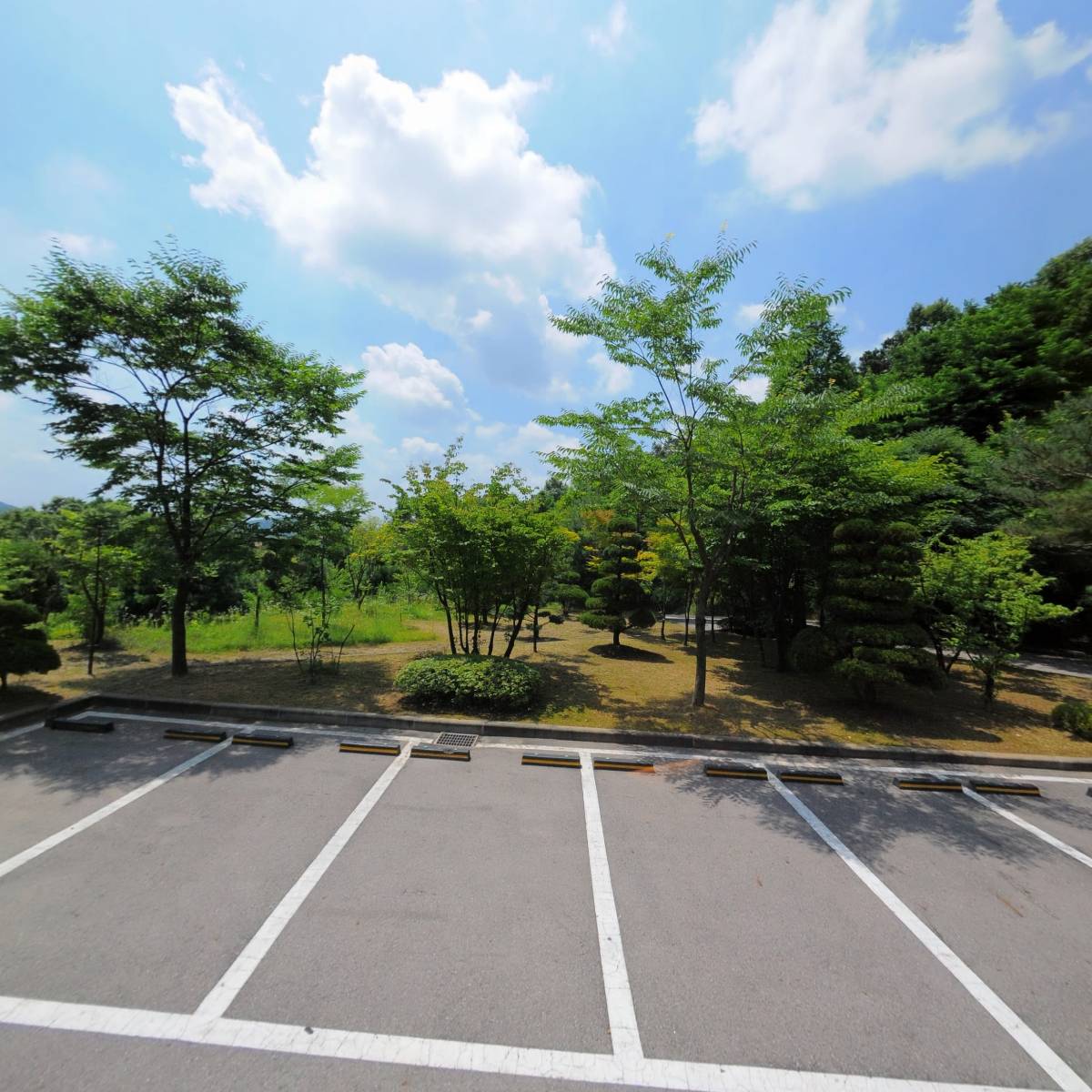 수원가톨릭대학교