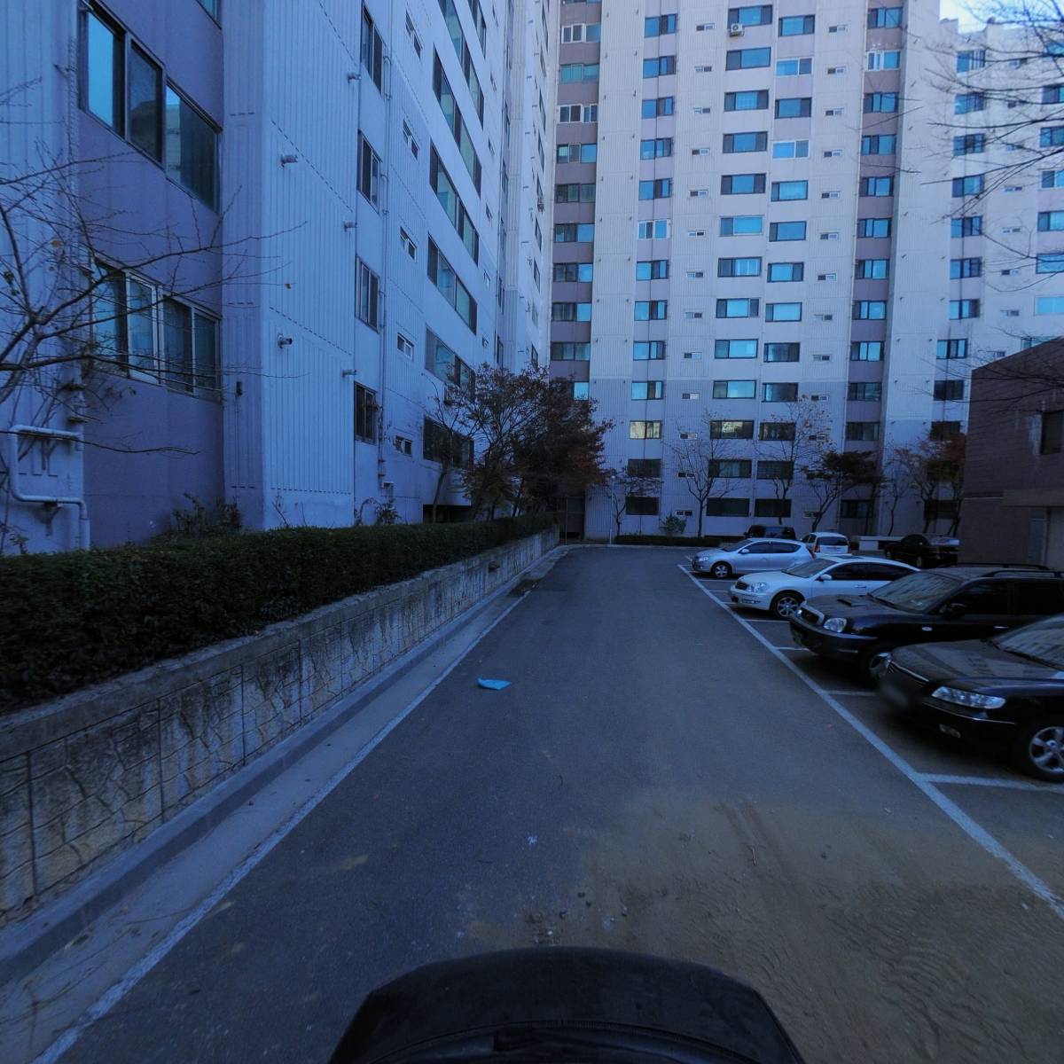 셀붐_4