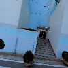 금장