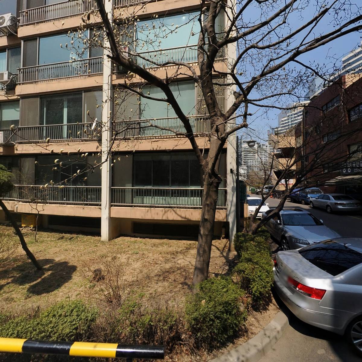 김미연