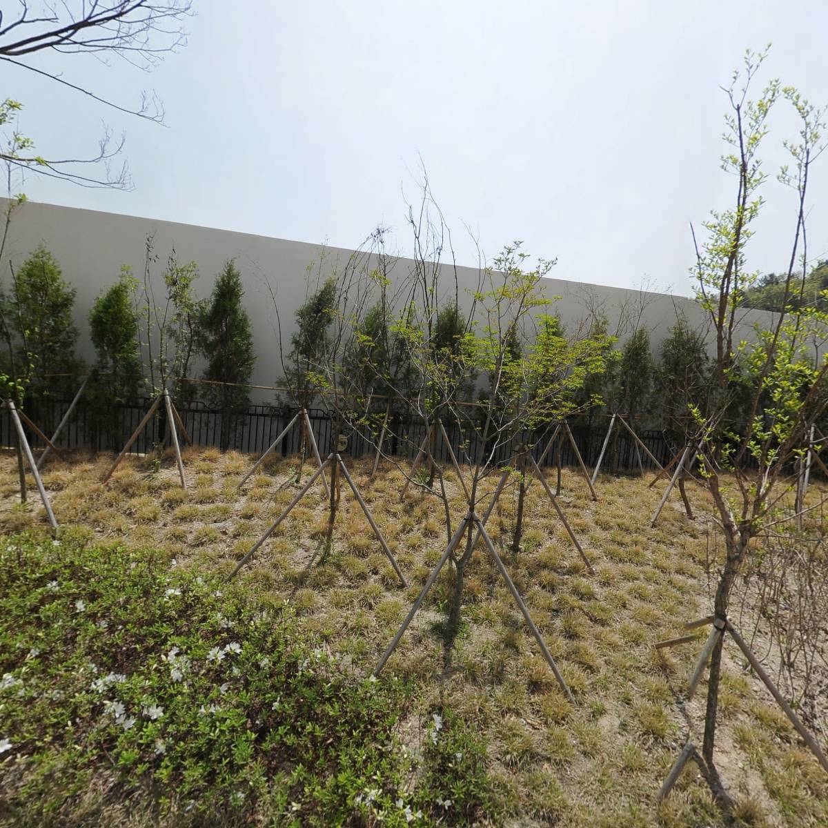 대전도안중학교
