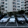 맘모스치킨호프_3