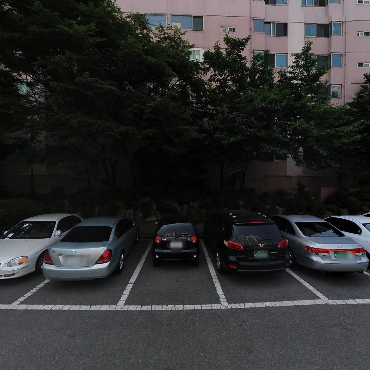 문치과
