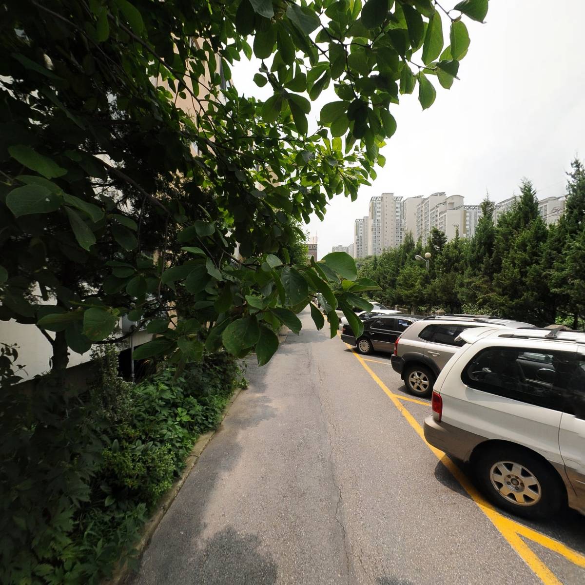 삥뽀삥스토리_2