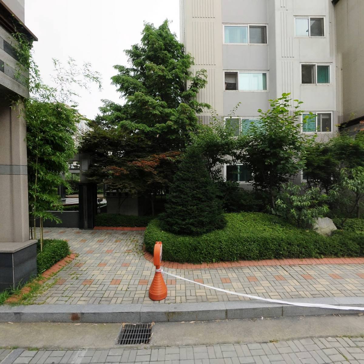 고릴라씨앤씨