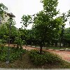 자음모음아티스트