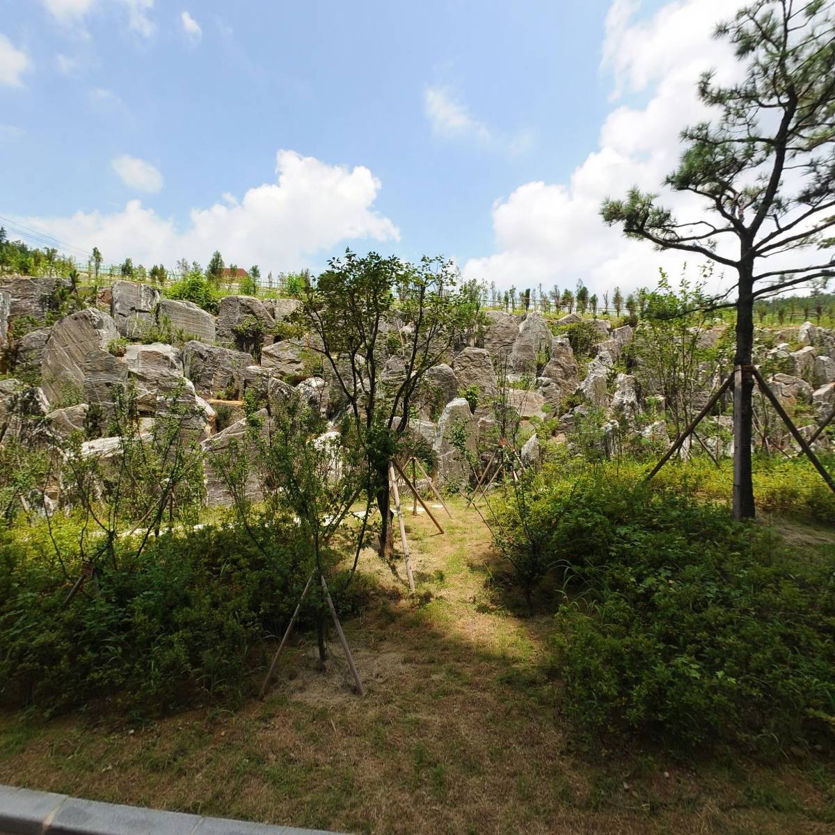 더에이치디지_3