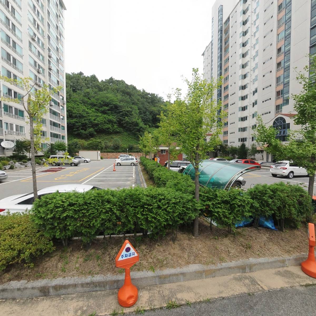 차연화_3