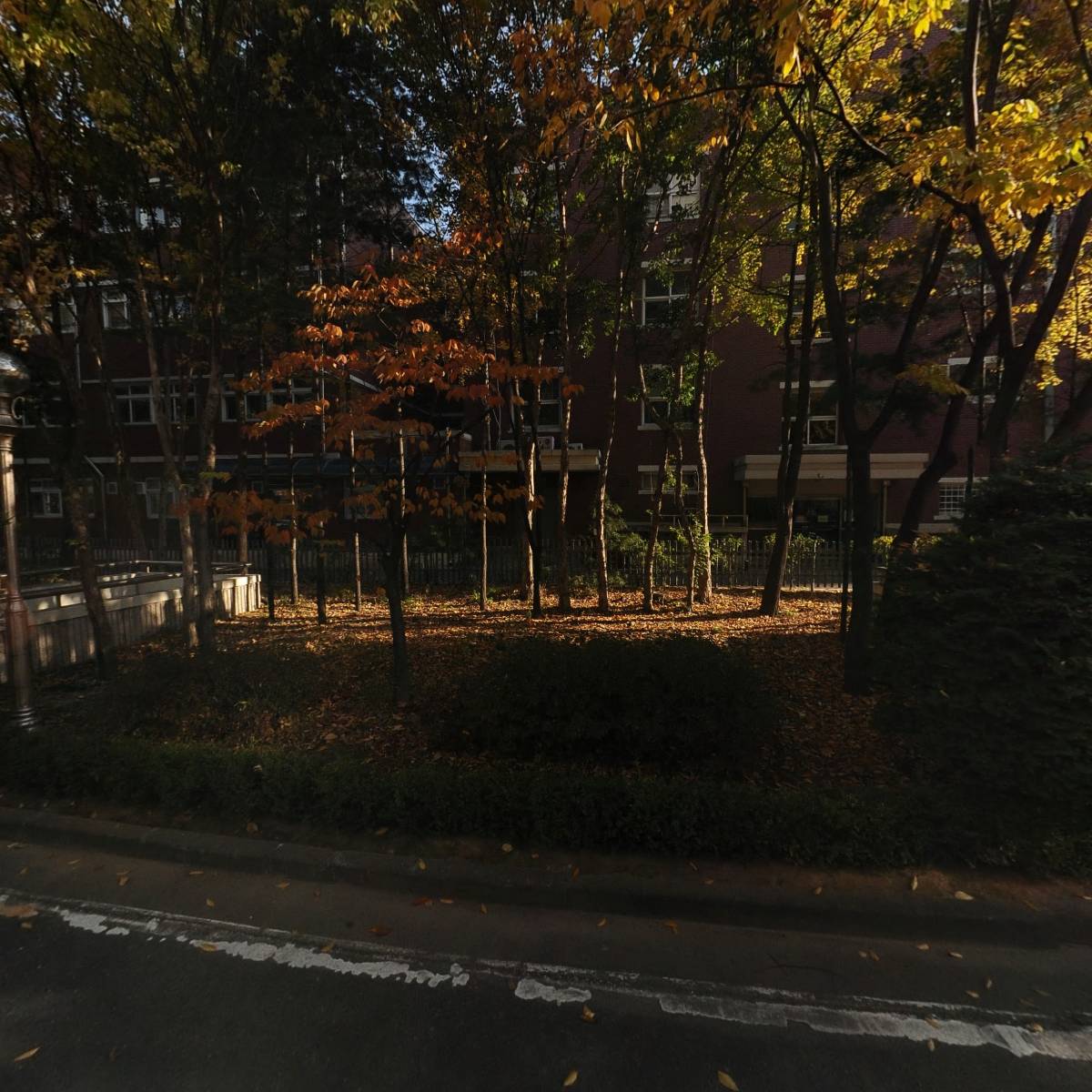 낙민초등학교_3