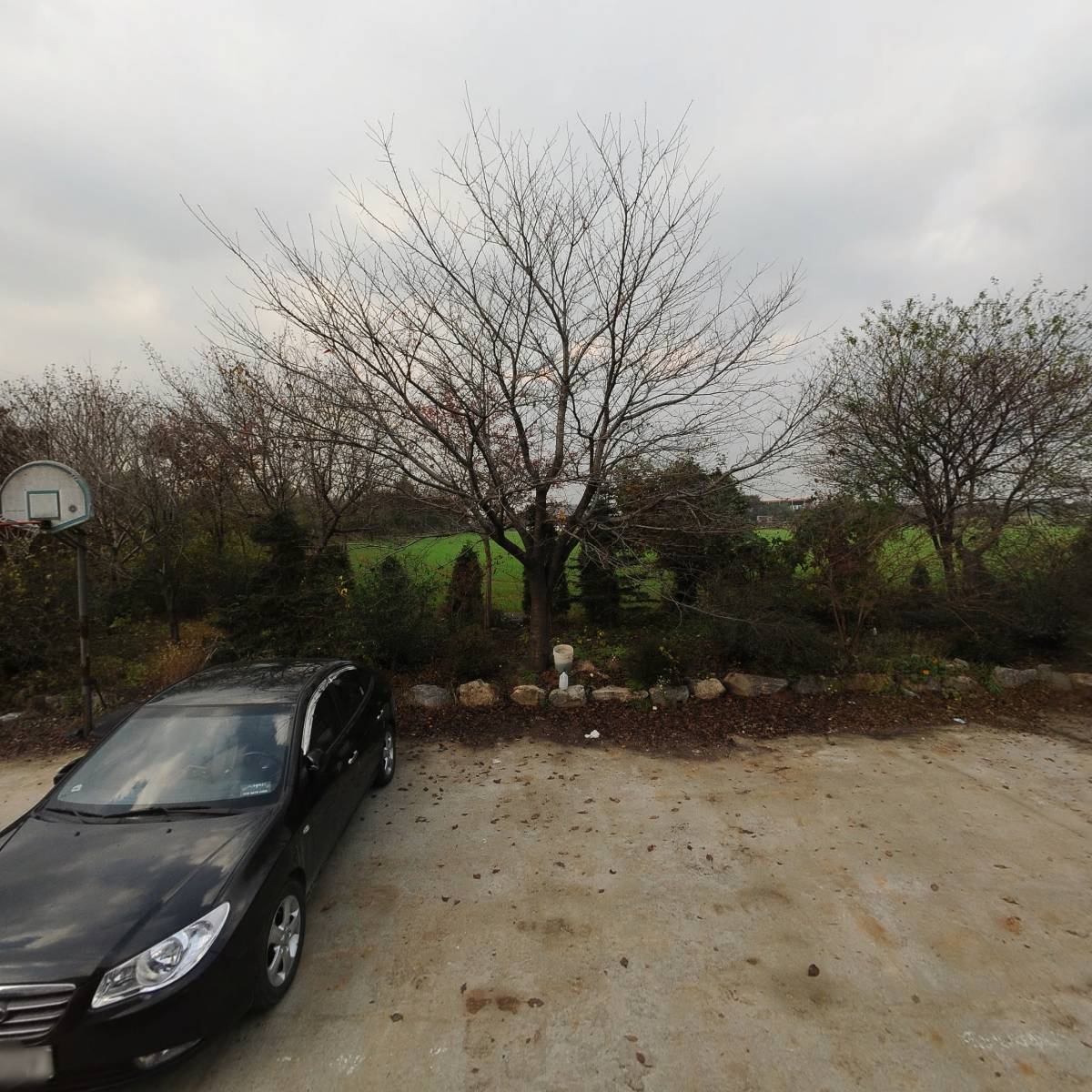 숲이랑코퍼레이션