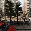 정림스토아 만년점 정육코너_3