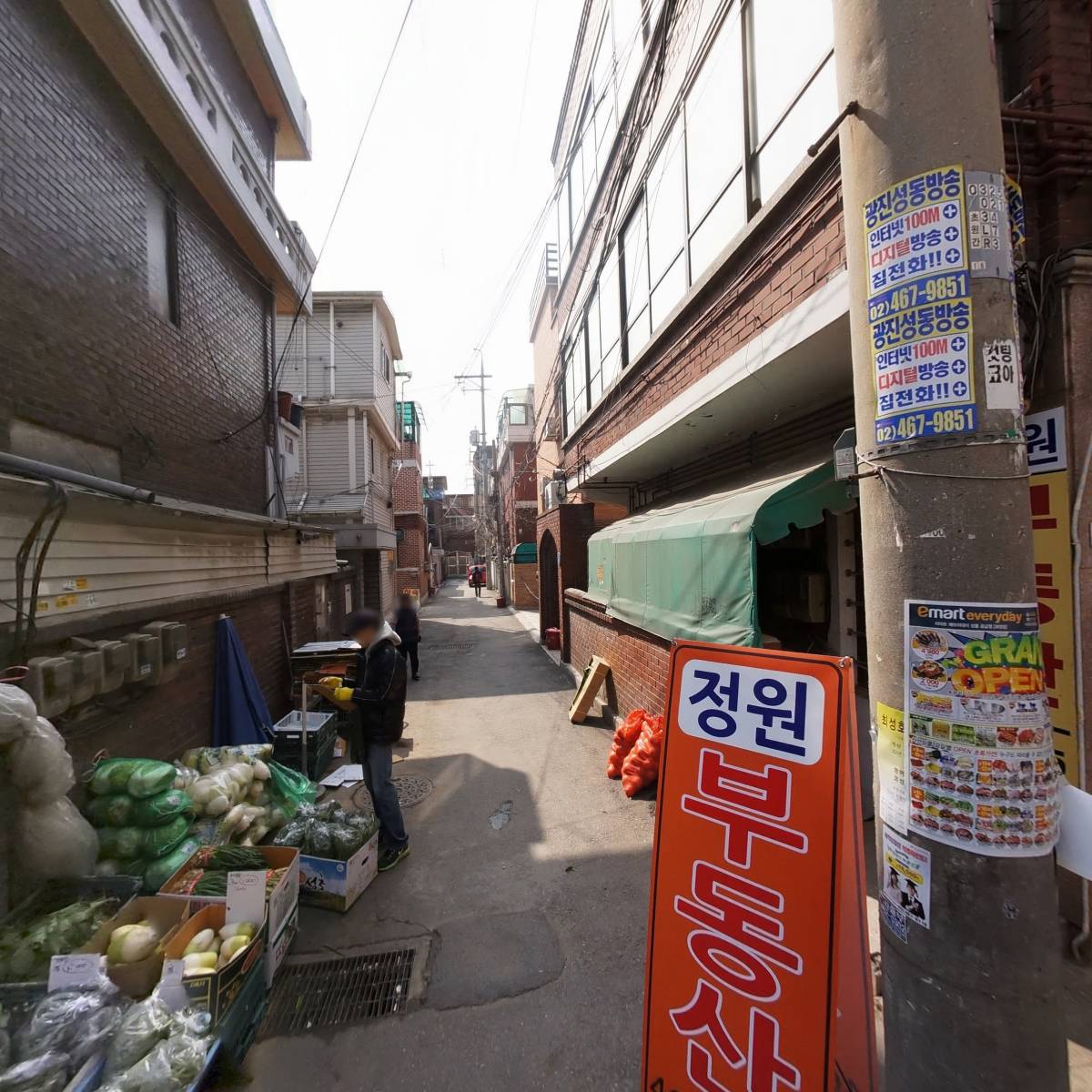 싱싱 야채，과일_2