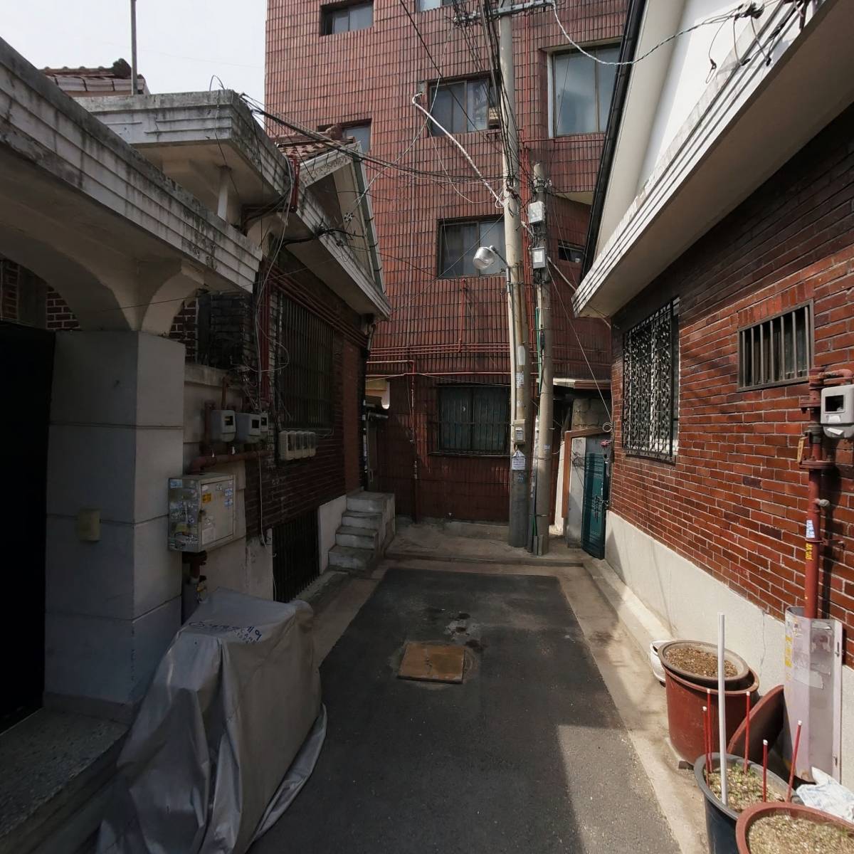 뽀뽀벌레스냅_4