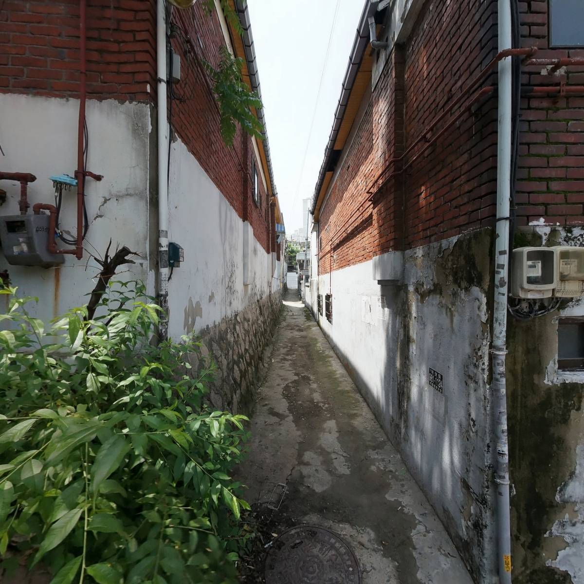 안드레정마켓