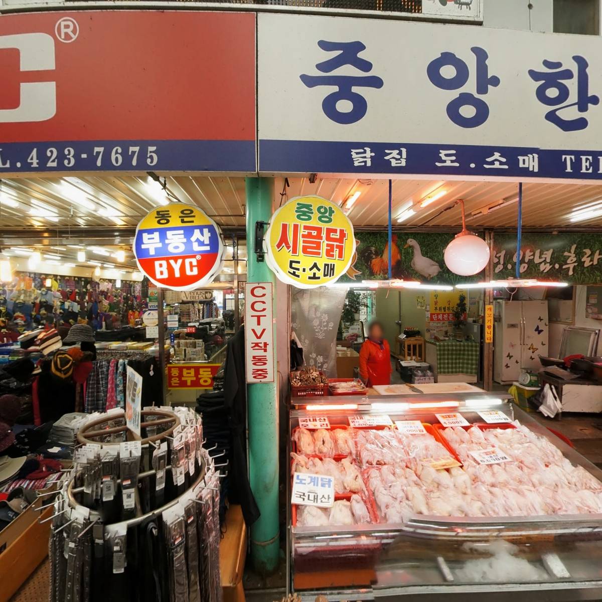 새순교회