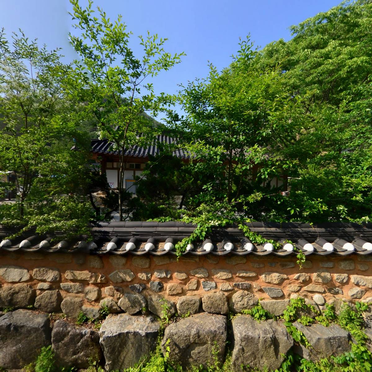대한불교조계종 금당사_3