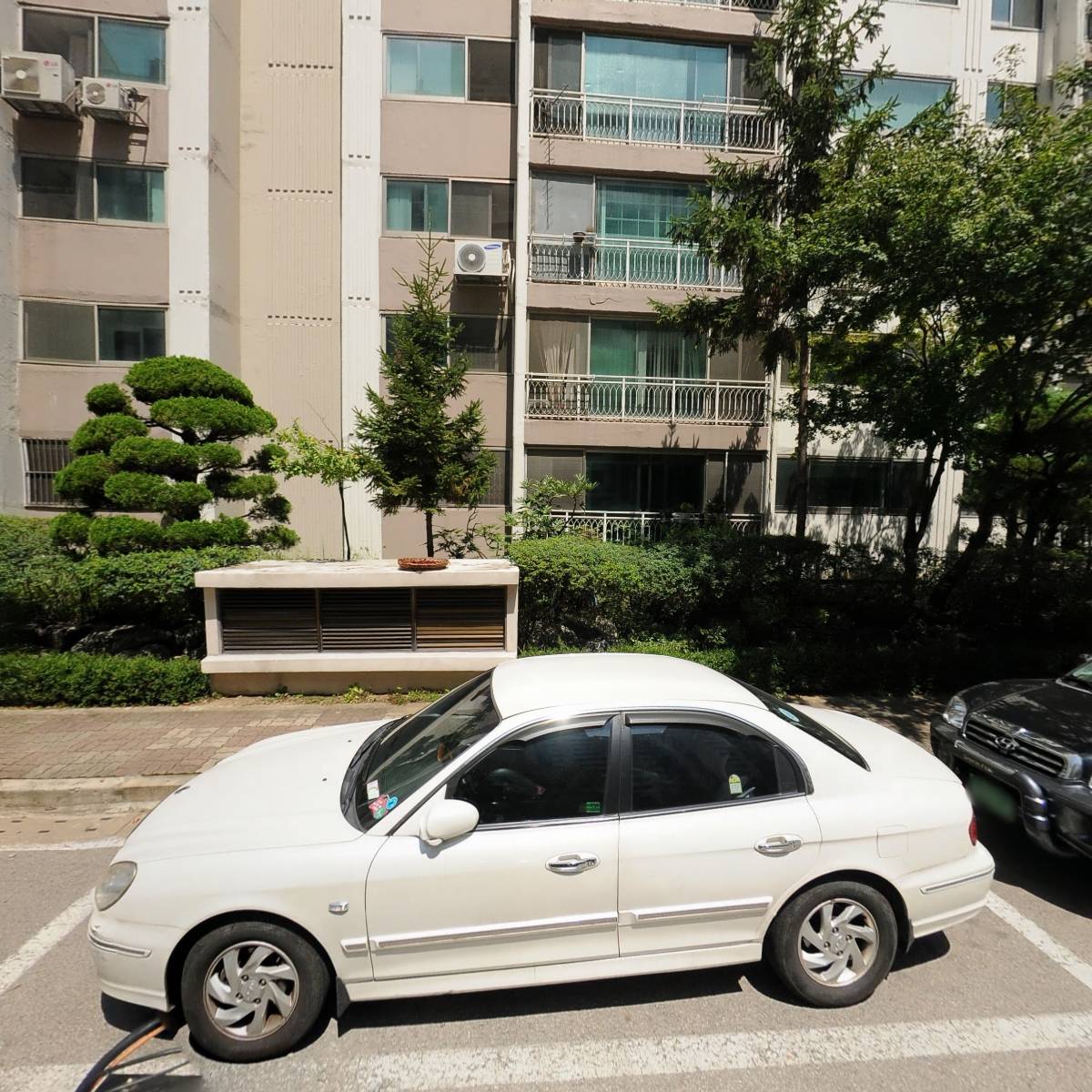 심연한국화