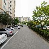 좋은 나무_2