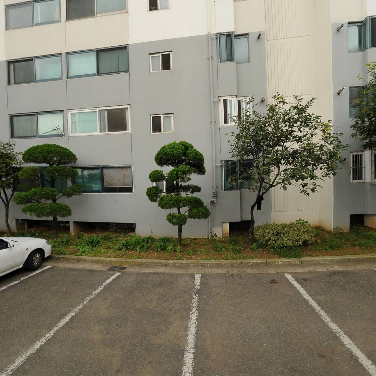 셀레스(Celress)_3