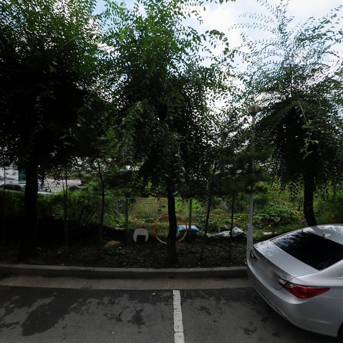 해독센터Light body_3