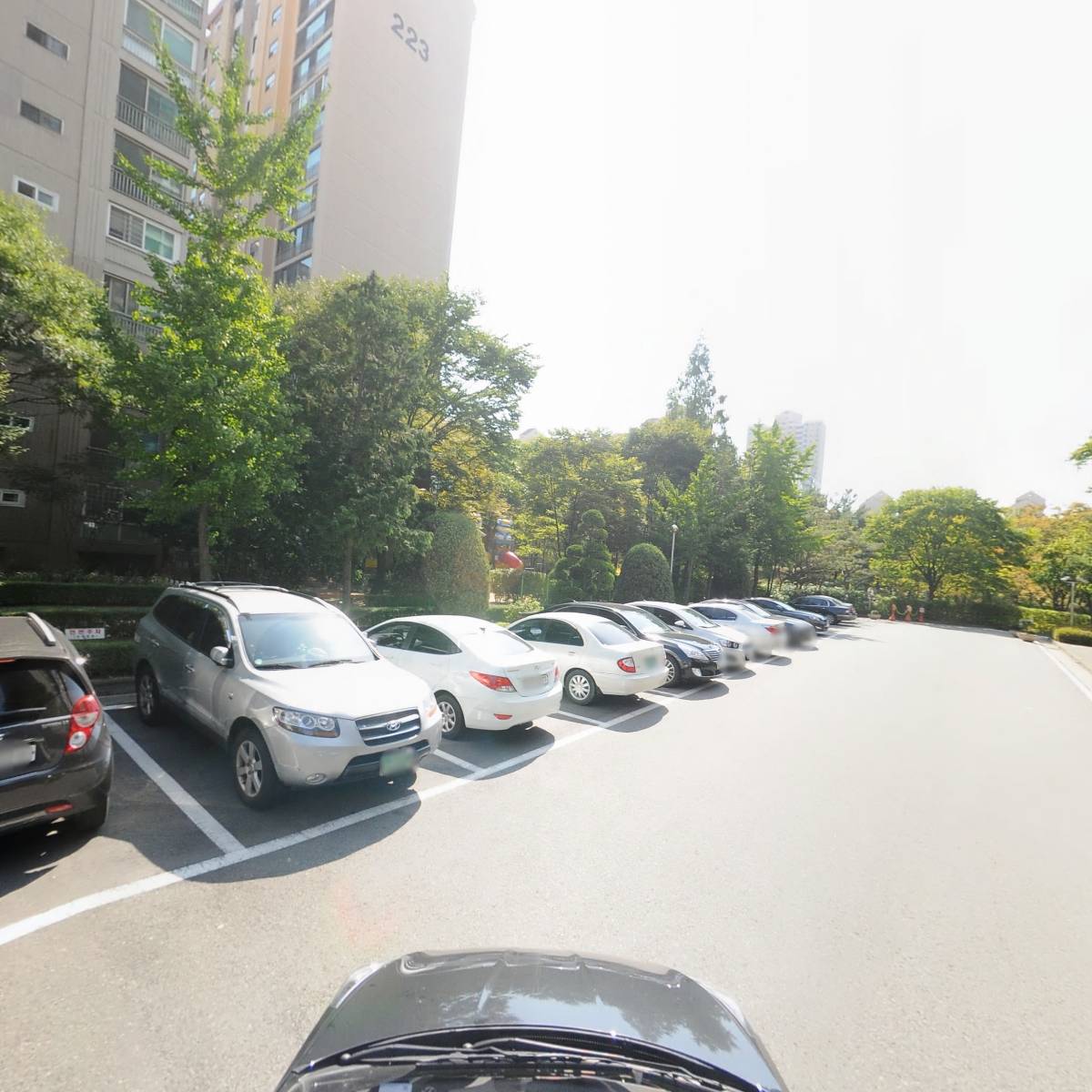 경희대 신성 태권도장_4