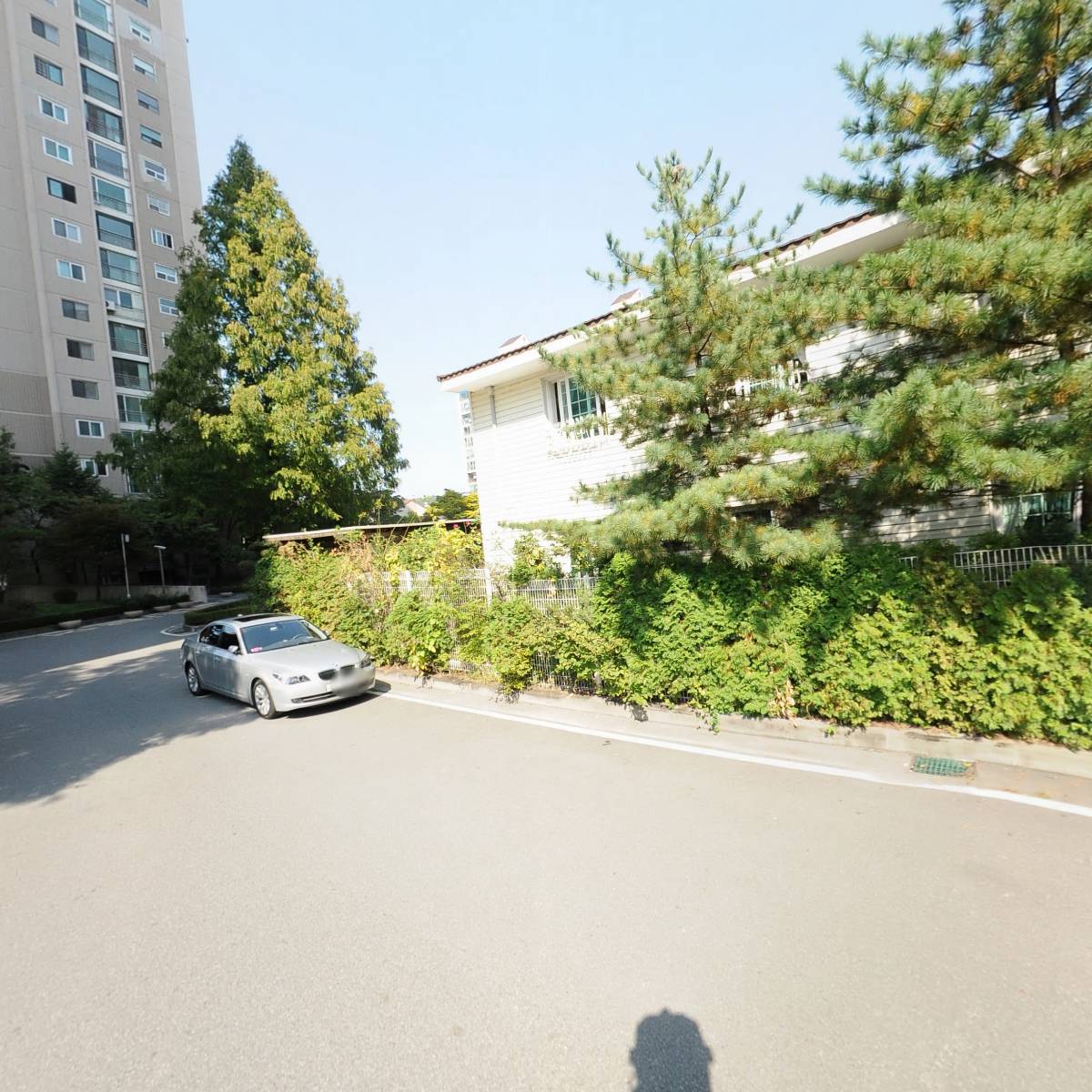 경희대 신성 태권도장_2