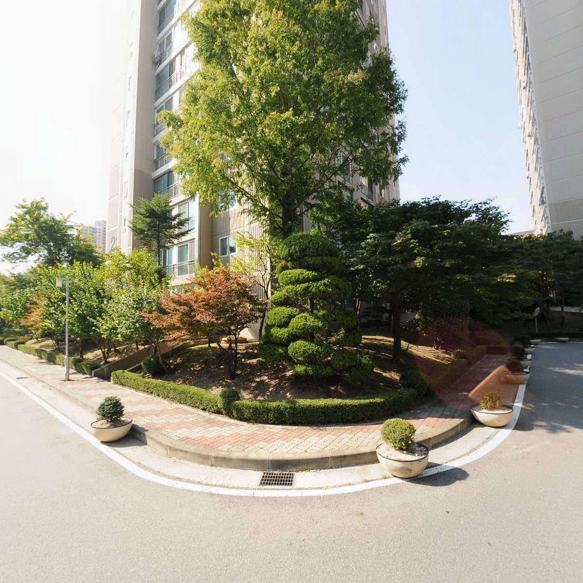 경희대 신성 태권도장