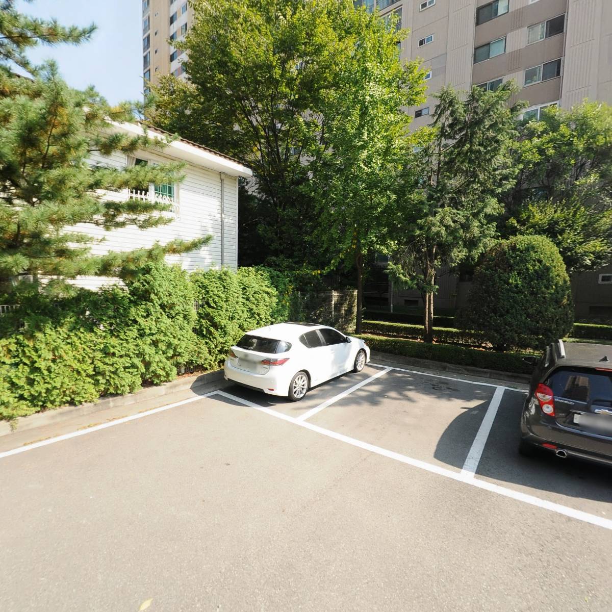 경희대 신성 태권도장_3
