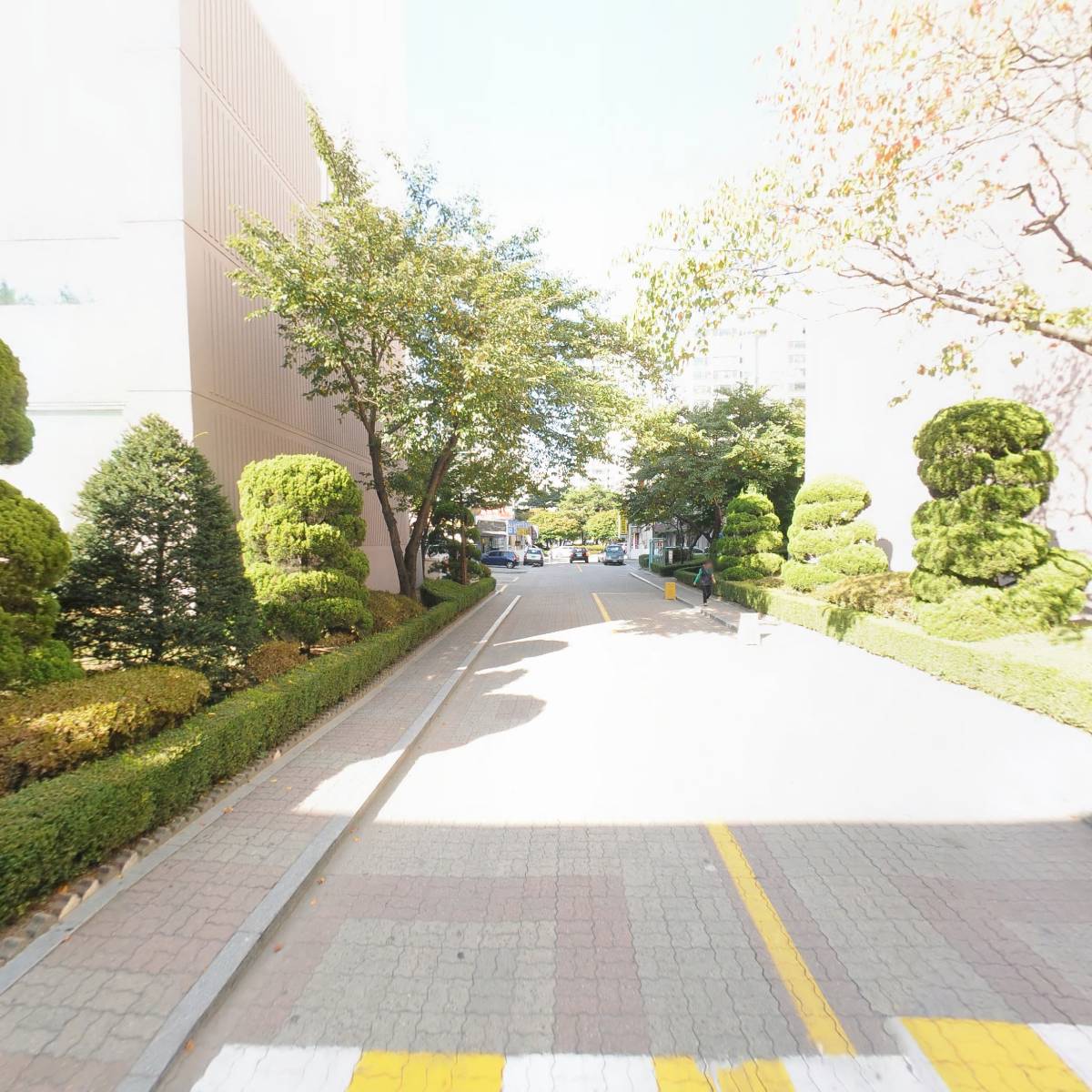 호수 컴퍼니_2