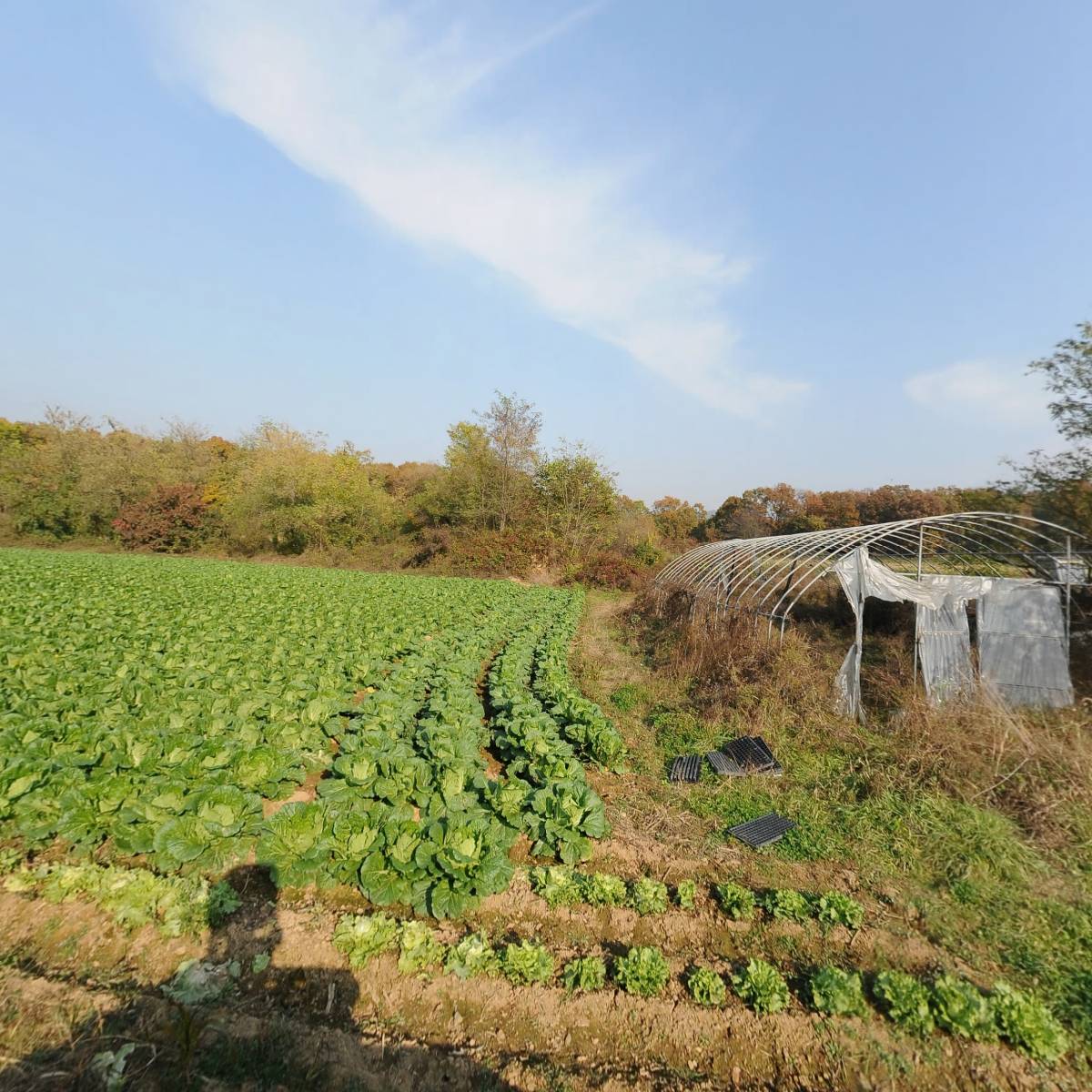 아머빌리티(ARMORBILTY)