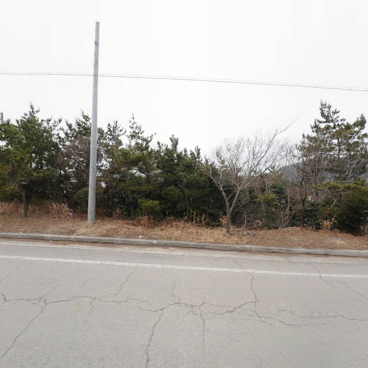 봉봉씨푸드_3