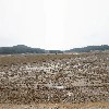 섬마을농산