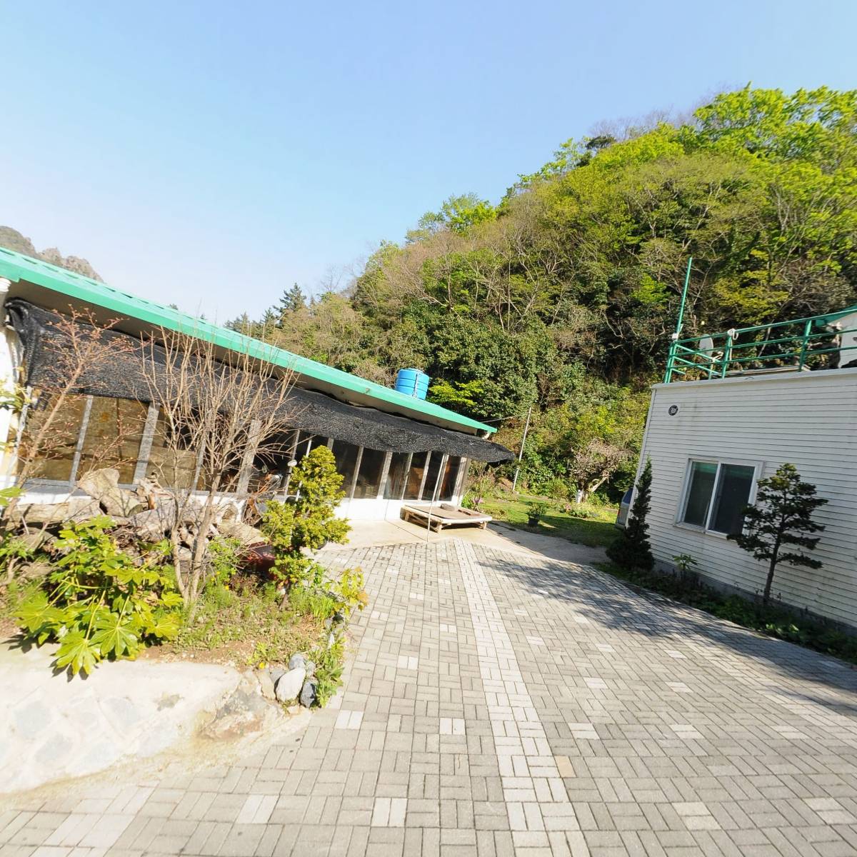 울릉도산나물,더덕영농조합_3