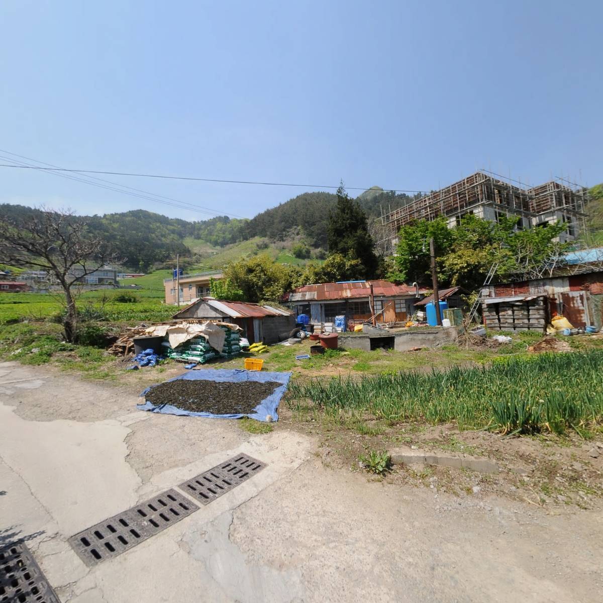 울릉군농촌신활력플러스사업추진단_2