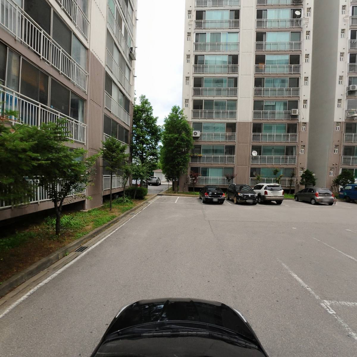 뵤뵤_4