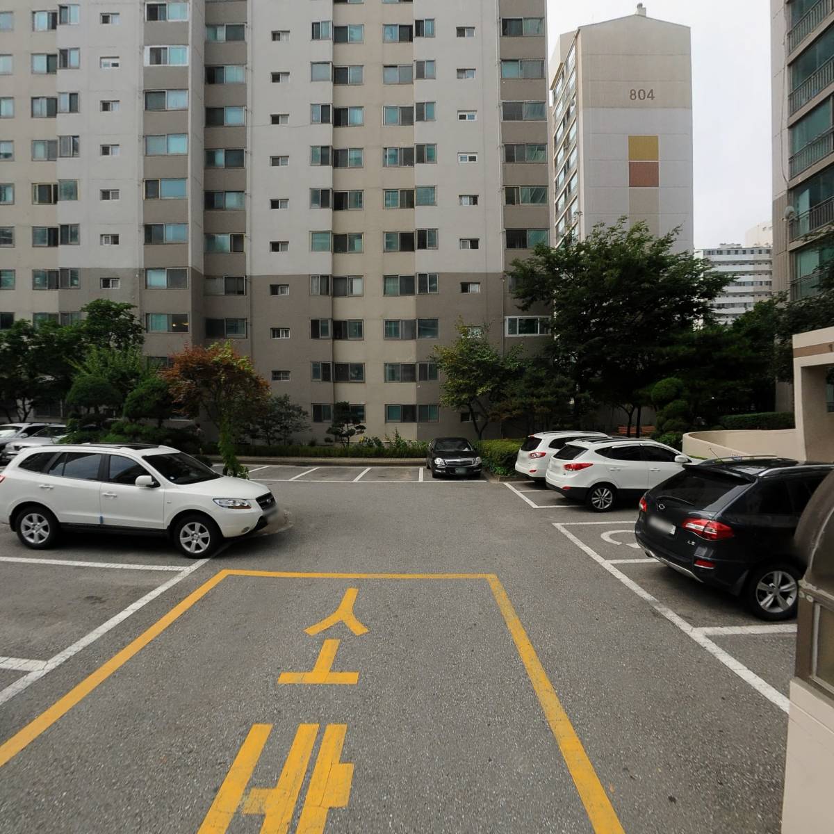 고양 SNPE 바른자세 척추운동_2