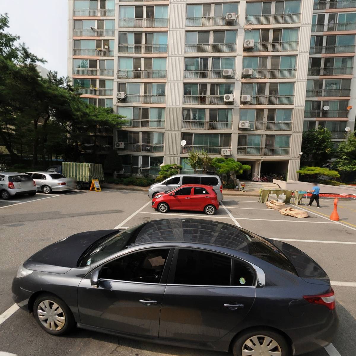 퍼시몬트리