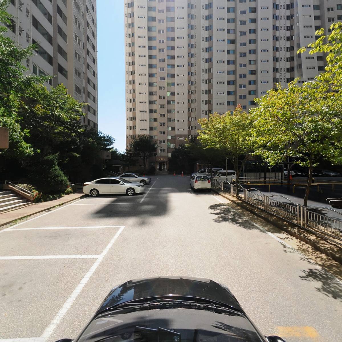 푸른솔 야채청과_4