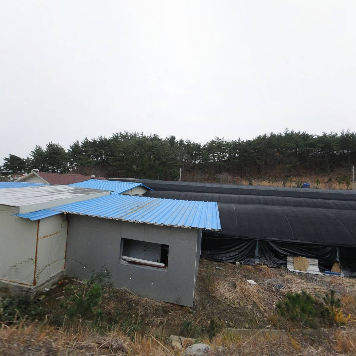 먼동수산