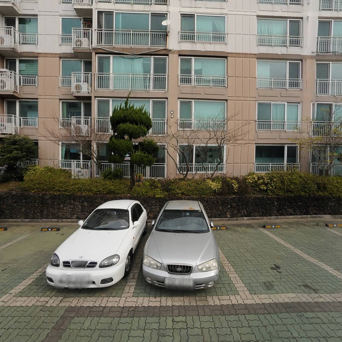 대림정육_3