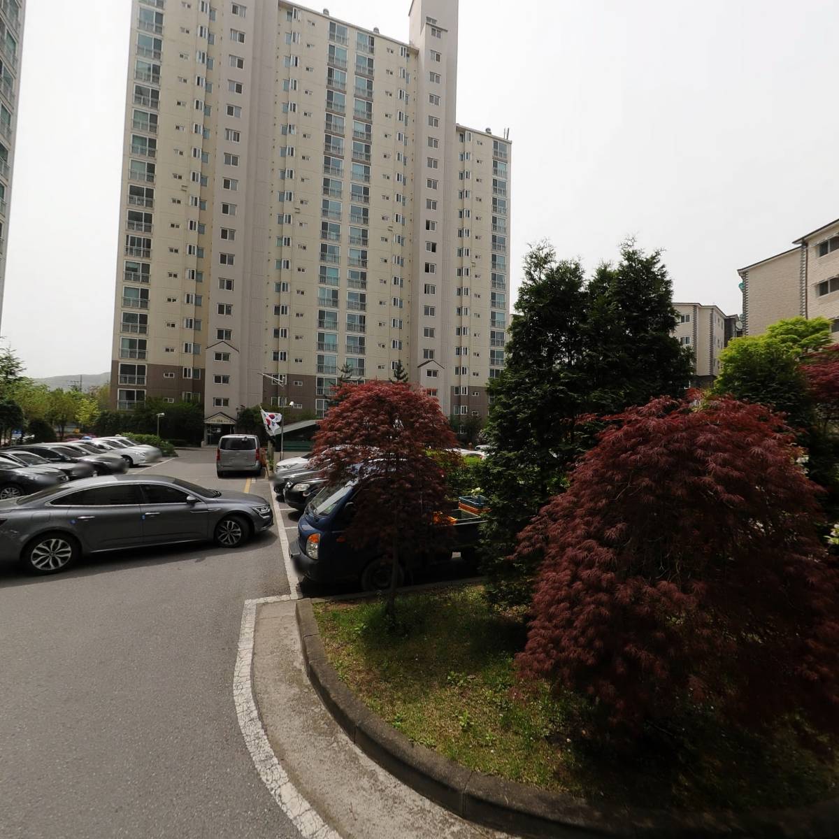 황금호박꽃