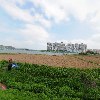 주식회사 디에이치에스