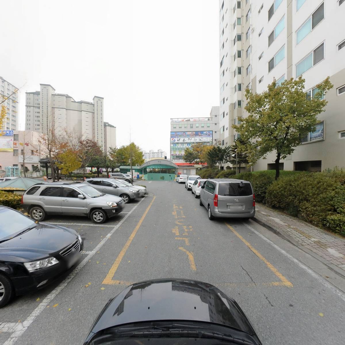 르노코리아자동차여주대리점_4