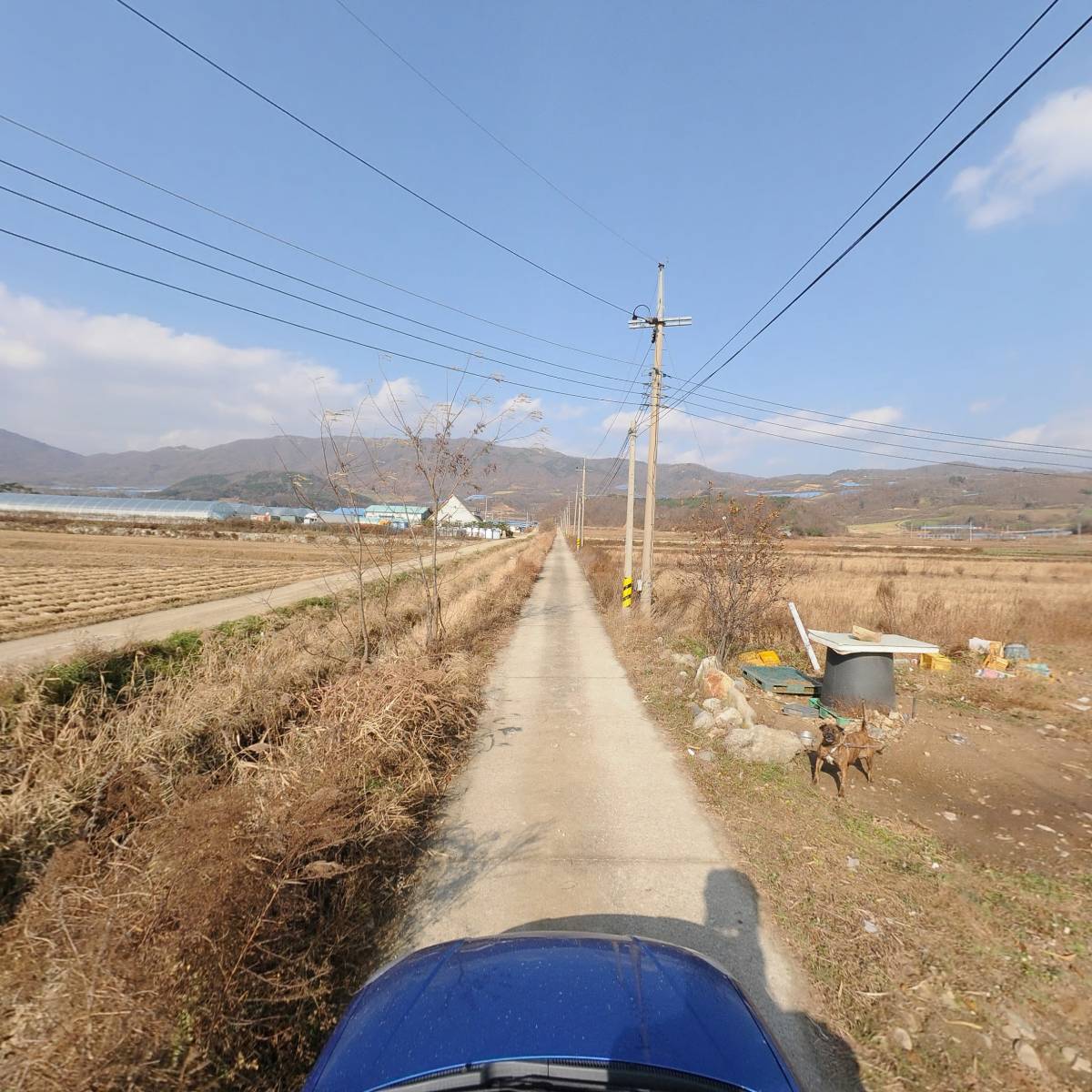 양구특산물영농조합법인_4