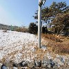 주식회사 효원당에프앤에이치